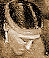 thumbnail image of Tsioianiio