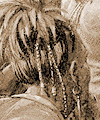 thumbnail image of Aroniatehka